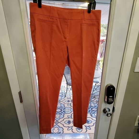 Ann Taylor DEVIN FIT IN DUSTY PERSIMMON Pants size 6 - Picture 2 of 8